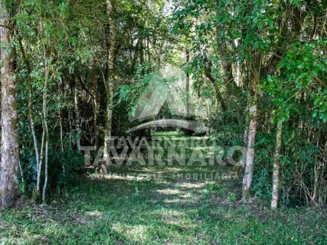 Terreno em Condomínio para Venda em Ponta Grossa/PR Contorno