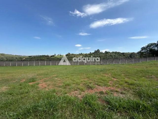 Terreno em Condomínio para Venda em Ponta Grossa/PR Estrela