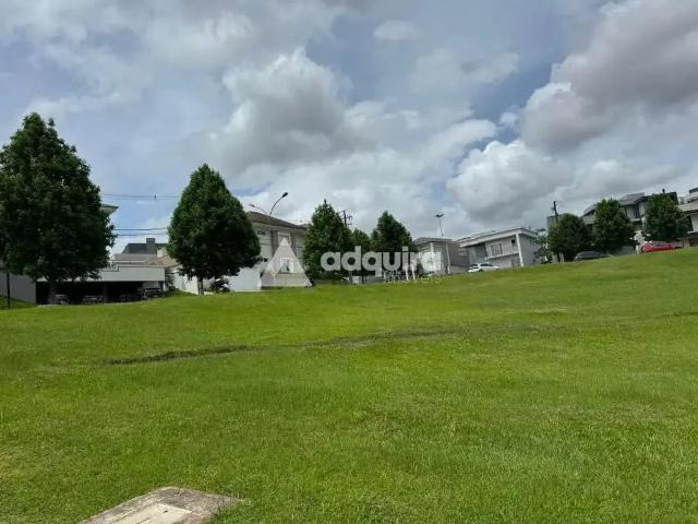 Terreno em Condomínio para Venda em Ponta Grossa/PR Estrela
