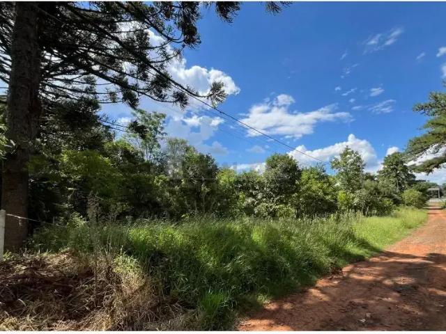 Terreno em Condomínio para Venda em Ponta Grossa/PR Núcleo Santa Luzia