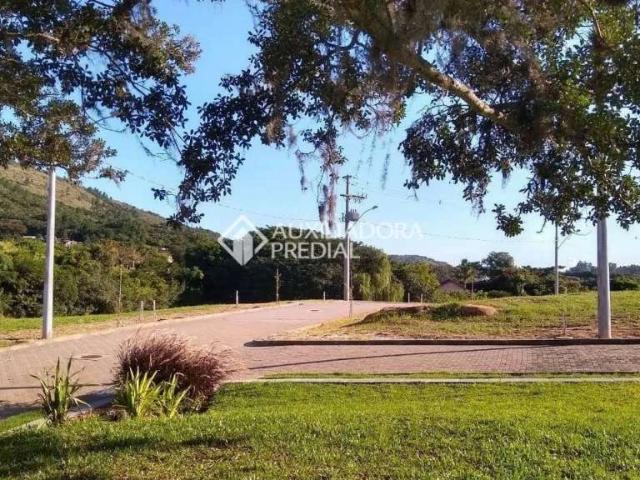 Terreno em Condomínio para Venda em Porto Alegre/RS Campo Novo