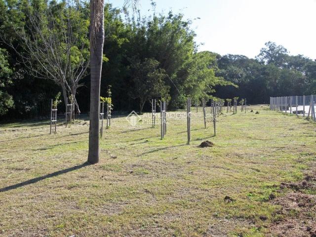 Terreno em Condomínio para Venda em Porto Alegre/RS Campo Novo