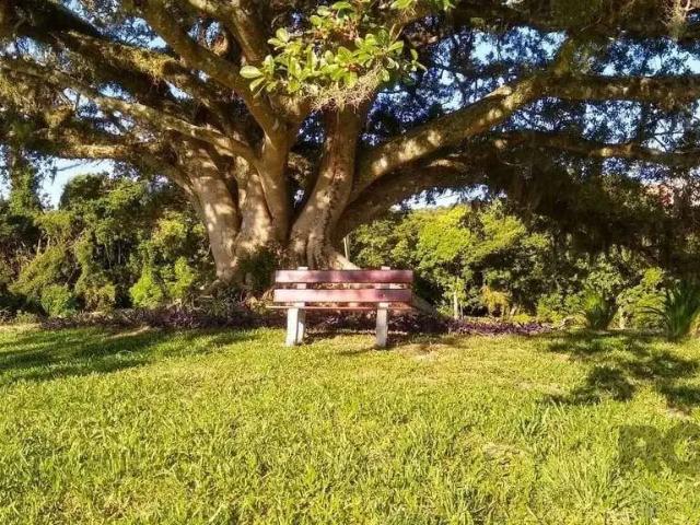 Terreno em Condomínio para Venda em Porto Alegre/RS Campo Novo
