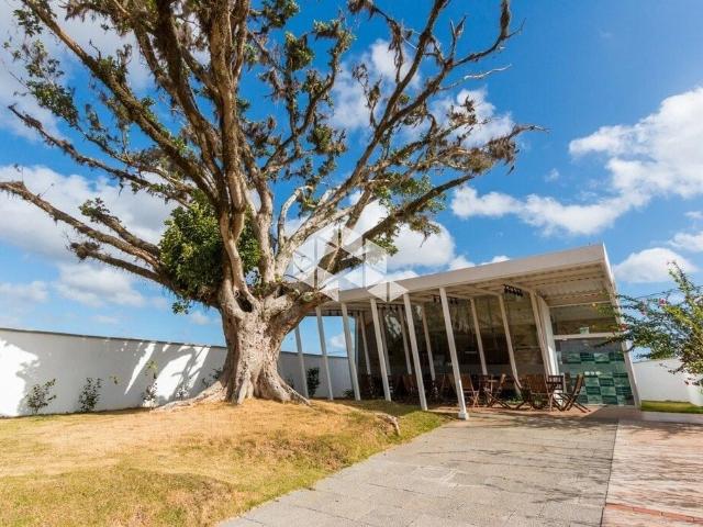 Terreno em Condomínio para Venda em Porto Alegre/RS Lomba do Pinheiro