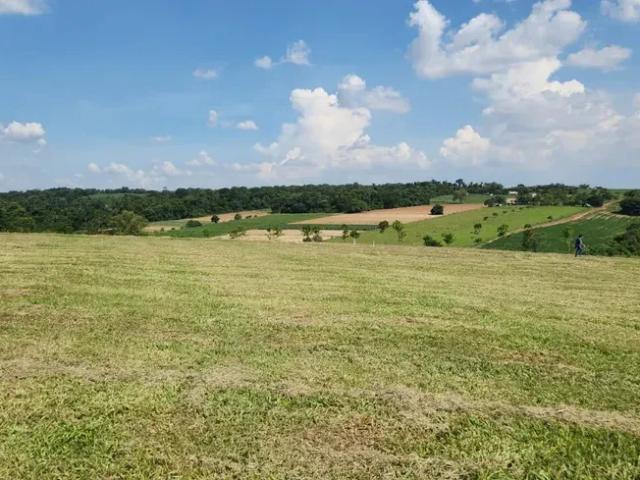 Terreno em Condomínio para Venda em Porto Feliz/SP Fazenda Boa Vista I