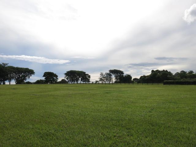 Terreno em Condomínio para Venda em Porto Feliz/SP Fazenda Boa Vista I