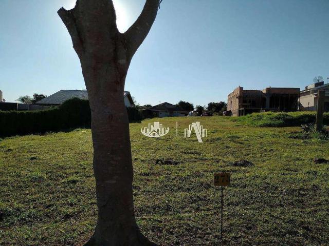 Terreno em Condomínio para Venda em Porecatu/PR Zona Rural