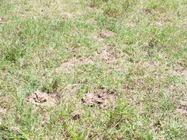 Terreno em Condomínio para Venda em Pouso Alegre/MG Boa Vista