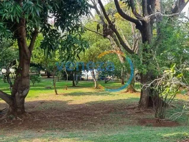 Terreno em Condomínio para Venda em Primeiro de Maio/PR Centro
