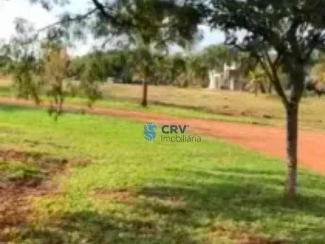 Terreno em Condomínio para Venda em Primeiro de Maio/PR Centro