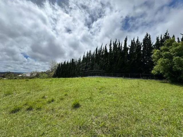 Terreno em Condomínio para Venda em Quatro Barras/PR Jardim Menino Deus
