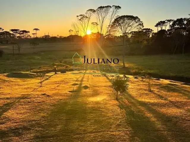 Terreno em Condomínio para Venda em Rancho Queimado/SC Queimada Grande