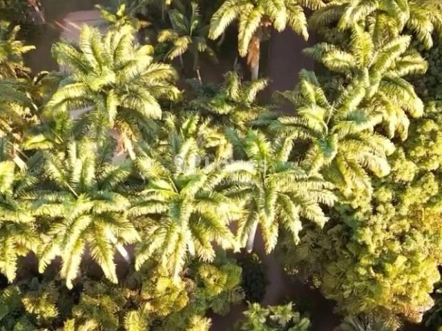 Terreno em Condomínio para Venda em Rio de Janeiro/RJ Barra da Tijuca