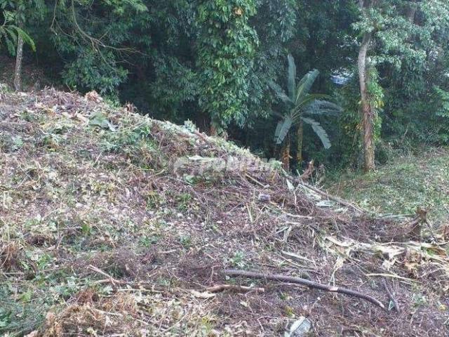 Terreno em Condomínio para Venda em Rio de Janeiro/RJ Barra da Tijuca