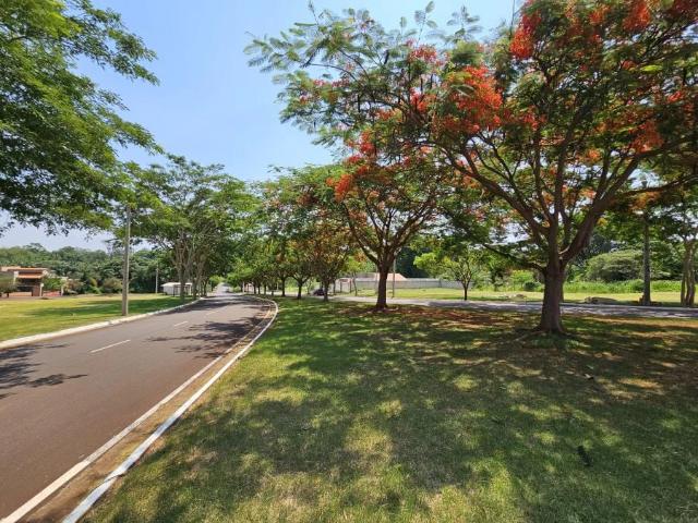 Terreno em Condomínio para Venda em Ribeirão Preto/SP Bonfim Paulista