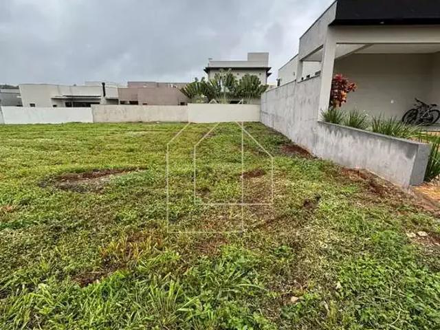 Terreno em Condomínio para Venda em Ribeirão Preto/SP Portal da Mata