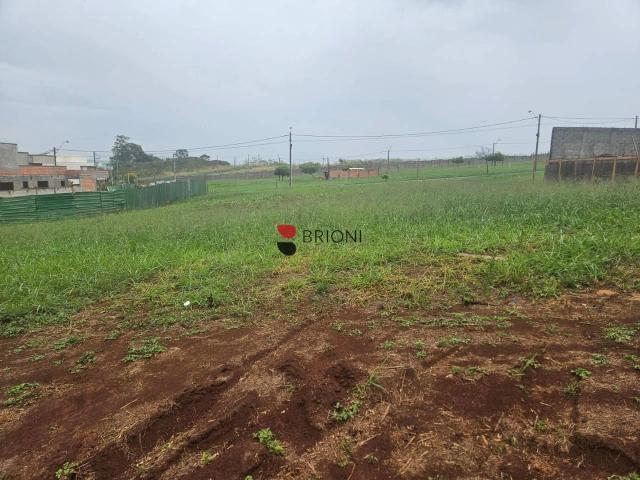 Terreno em Condomínio para Venda em Ribeirão Preto/SP Quinta da Primavera