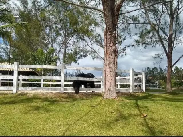Terreno em Condomínio para Venda em São Cristóvão/SE Zona Rural