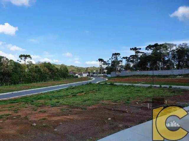 Terreno em Condomínio para Venda em São Bento do Sul/SC Brasilia