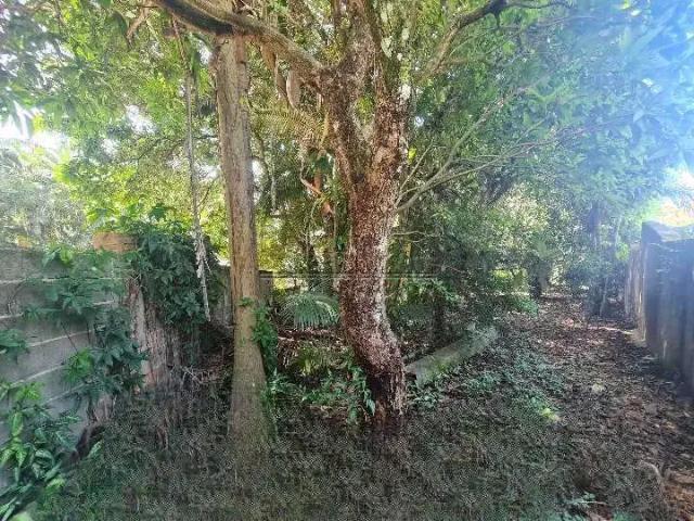 Terreno em Condomínio para Venda em São Bernardo do Campo/SP Parque Anchieta