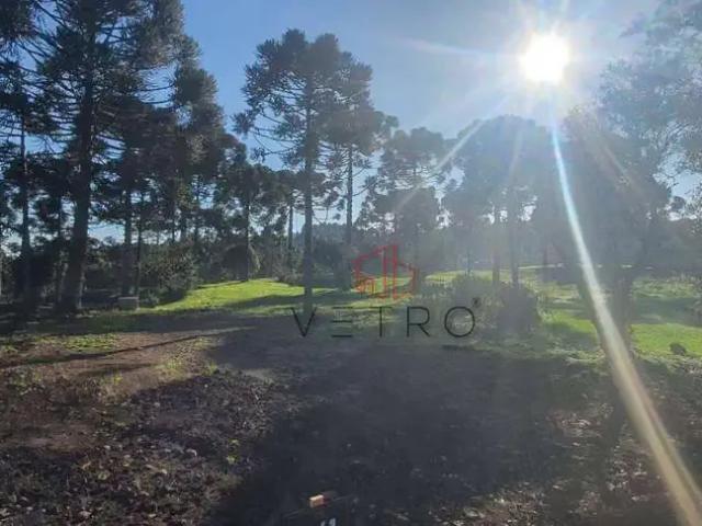 Terreno em Condomínio para Venda em São Francisco de Paula/RS São Bernardo
