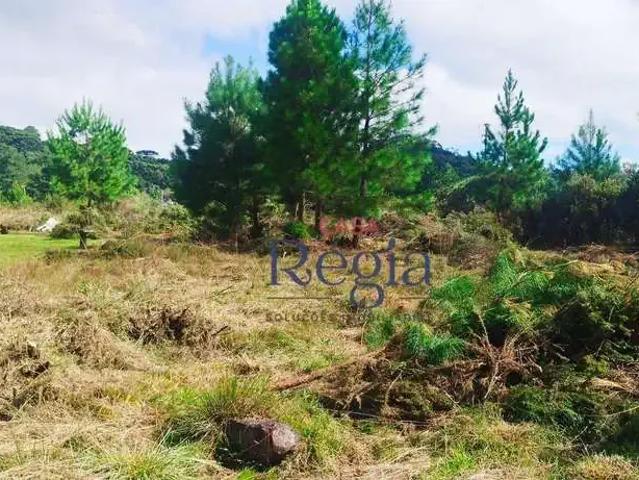 Terreno em Condomínio para Venda em São Francisco de Paula/RS Remanso Indianópolis