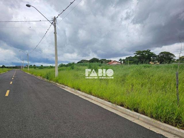 Terreno em Condomínio para Venda em São José do Rio Preto/SP Jardim Paulistano
