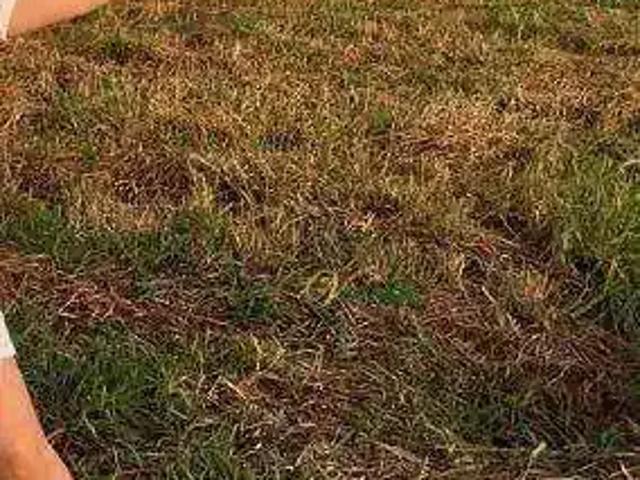Terreno em Condomínio para Venda em São José do Rio Preto/SP Quinta do Lago Residence