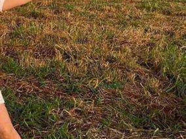 Terreno em Condomínio para Venda em São José do Rio Preto/SP Quinta do Lago Residence
