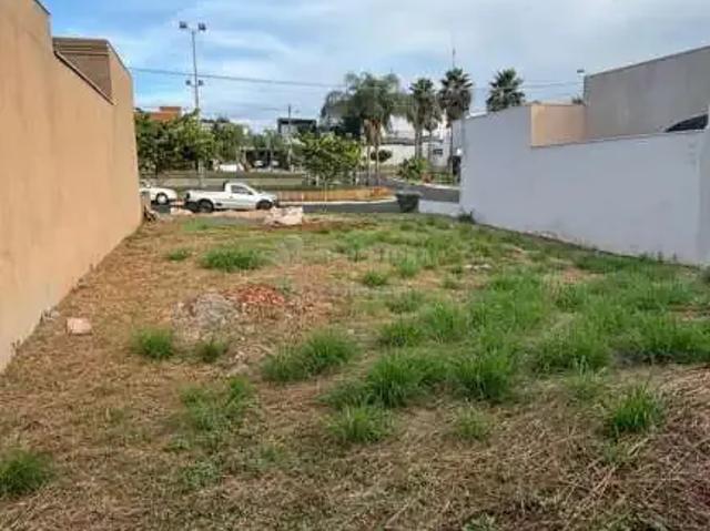 Terreno em Condomínio para Venda em São José do Rio Preto/SP Residencial Figueira II