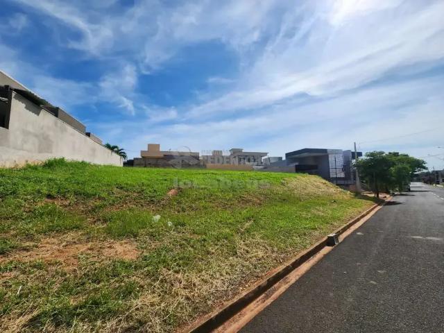 Terreno em Condomínio para Venda em São José do Rio Preto/SP Residencial Gaivota II