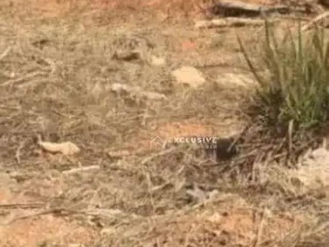 Terreno em Condomínio para Venda em São José dos Campos/SP Jardim Aquárius