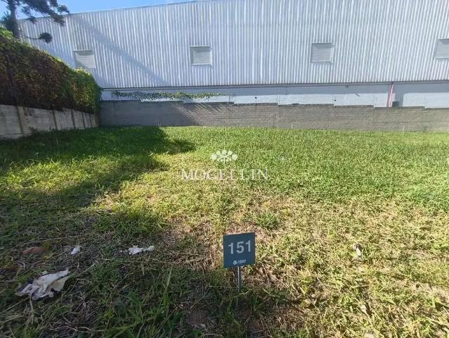 Terreno em Condomínio para Venda em São José dos Pinhais/PR Afonso Pena