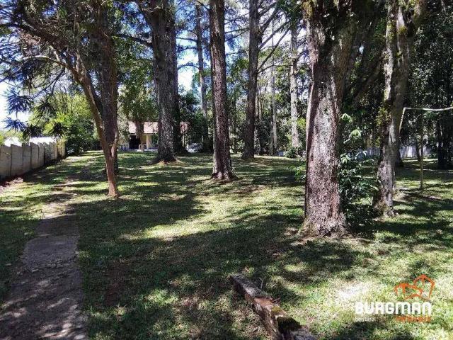 Terreno em Condomínio para Venda em São José dos Pinhais/PR Borda do Campo