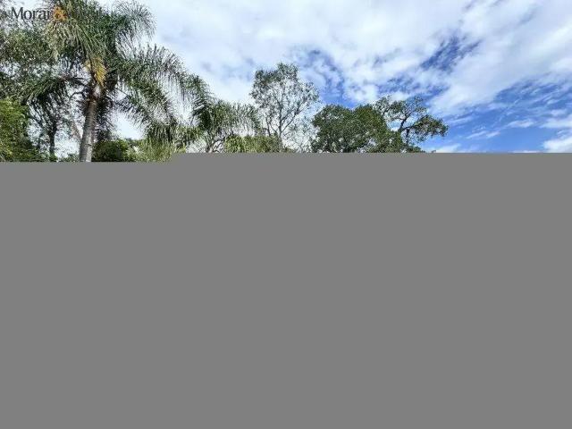Terreno em Condomínio para Venda em São José dos Pinhais/PR Campo Largo da Roseira