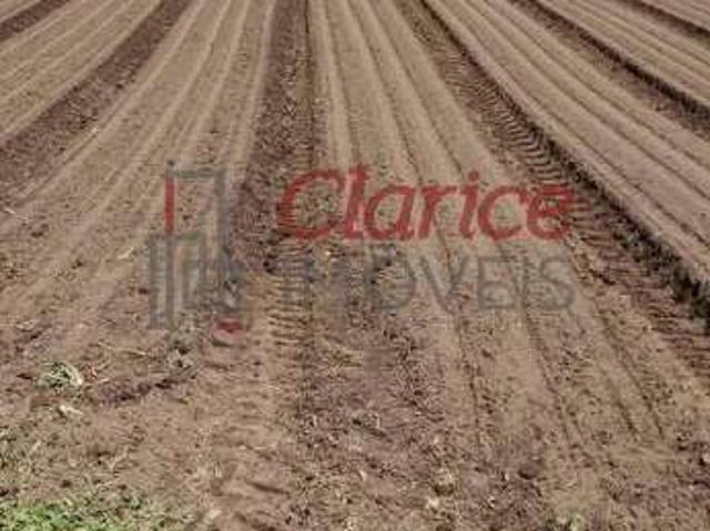 Terreno em Condomínio para Venda em São José dos Pinhais/PR Centro