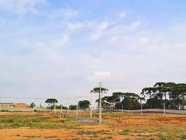 Terreno em Condomínio para Venda em São José dos Pinhais/PR Costeira