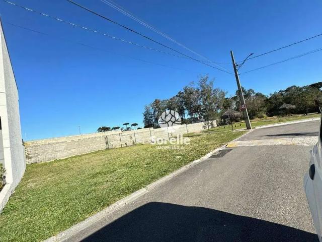 Terreno em Condomínio para Venda em São José dos Pinhais/PR Costeira