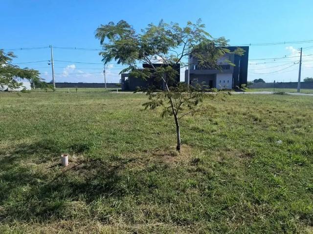 Terreno em Condomínio para Venda em São José dos Pinhais/PR Ipê