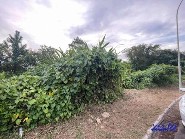 Terreno em Condomínio para Venda em São José/SC Roçado