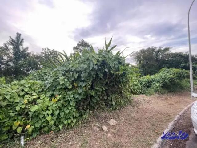Terreno em Condomínio para Venda em São José/SC Roçado
