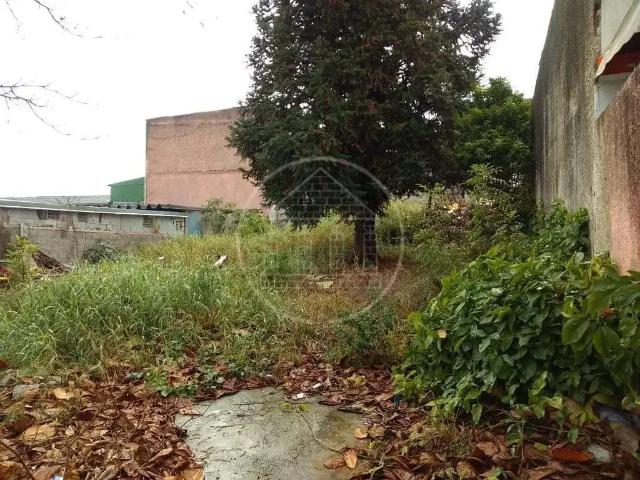 Terreno em Condomínio para Venda em São Paulo/SP Vila Santa Maria