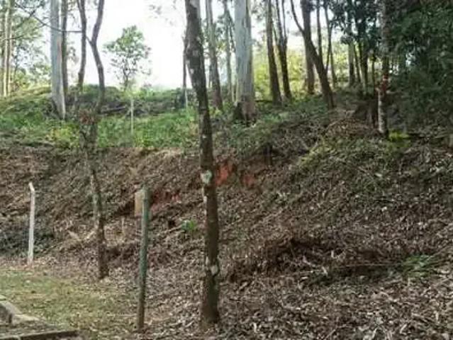 Terreno em Condomínio para Venda em São Paulo/SP Cachoeirinha