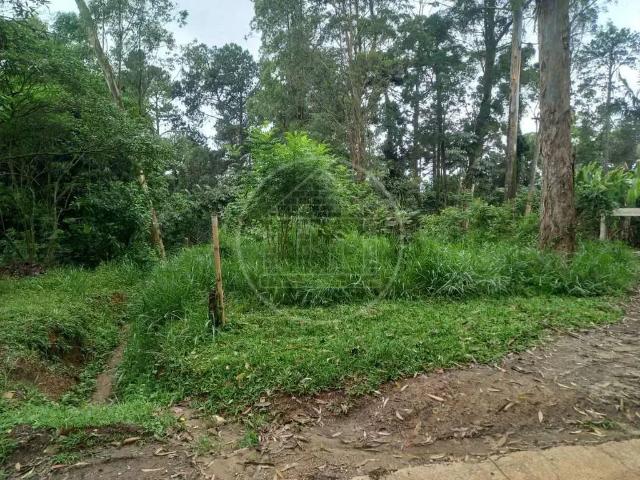 Terreno em Condomínio para Venda em São Paulo/SP Chácara das Corujas