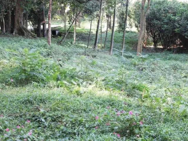 Terreno em Condomínio para Venda em São Paulo/SP Chácara Flora