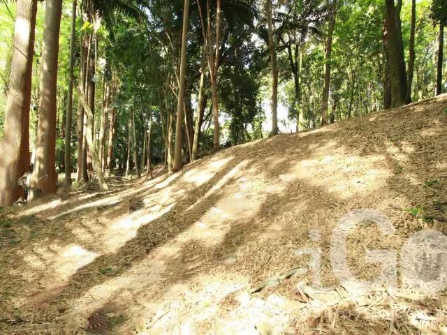 Terreno em Condomínio para Venda em São Paulo/SP Chácara Flora