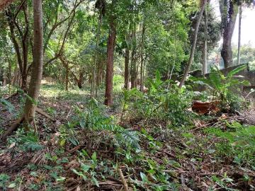 Terreno em Condomínio para Venda em São Paulo/SP Chácara Flora