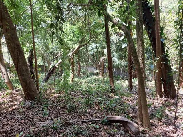 Terreno em Condomínio para Venda em São Paulo/SP Chácara Flora