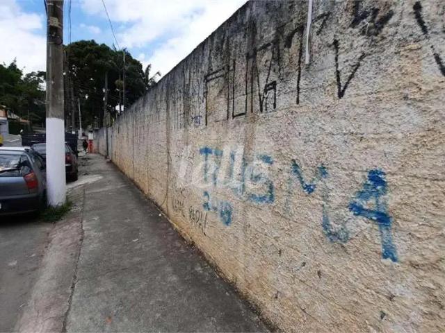 Terreno em Condomínio para Venda em São Paulo/SP Horto Florestal