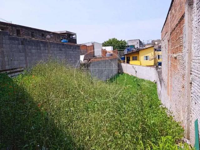 Terreno em Condomínio para Venda em São Paulo/SP Jardim dos Álamos